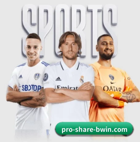 必赢体育 APP(bwin)